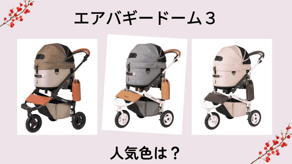エアバギー　ドーム３　人気色