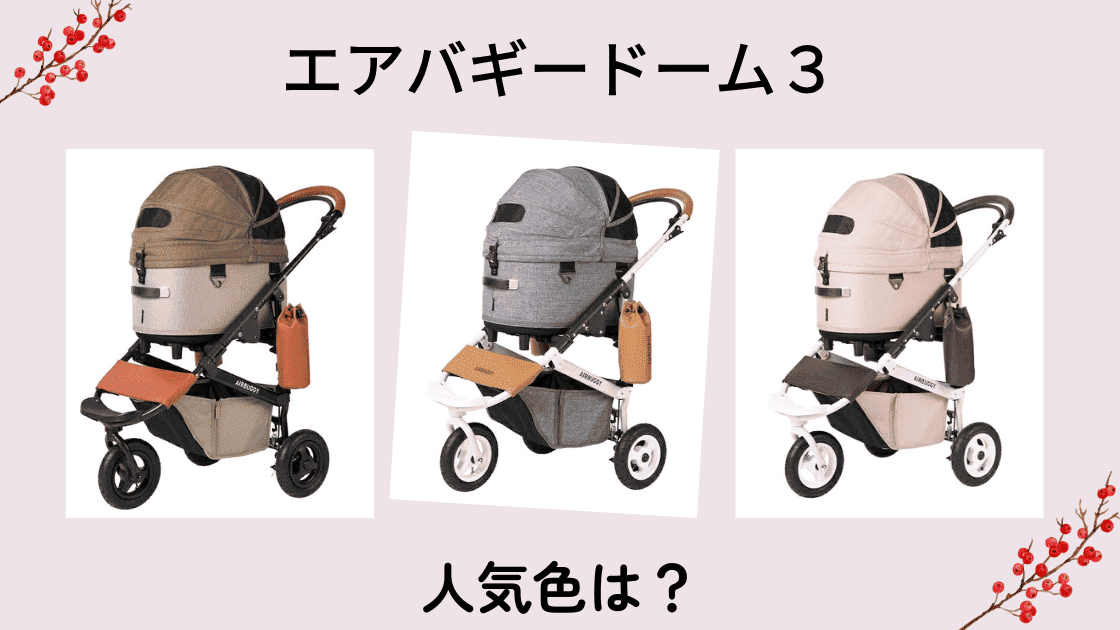 エアバギー　ドーム３　人気色
